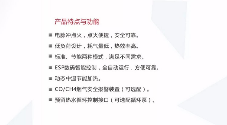 瑞美容积式燃气热水器RGS-A